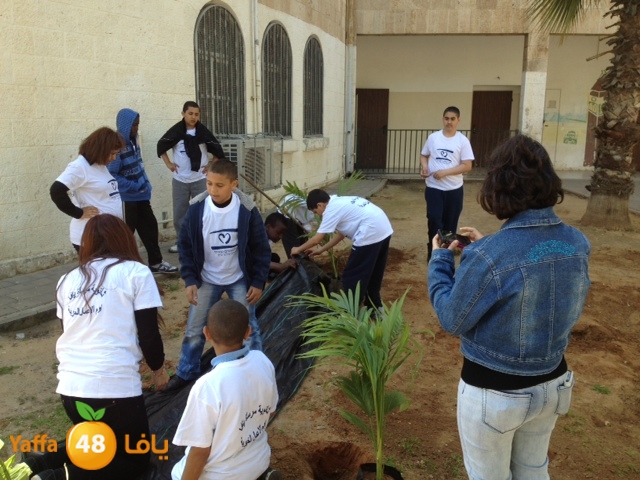 a3malmersatyaffa (25).JPG